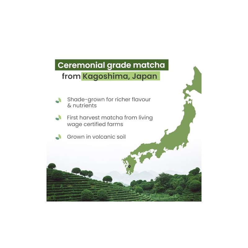 PureChimp Ceremonial Grade Matcha Powder - 50g Green Tea Delight