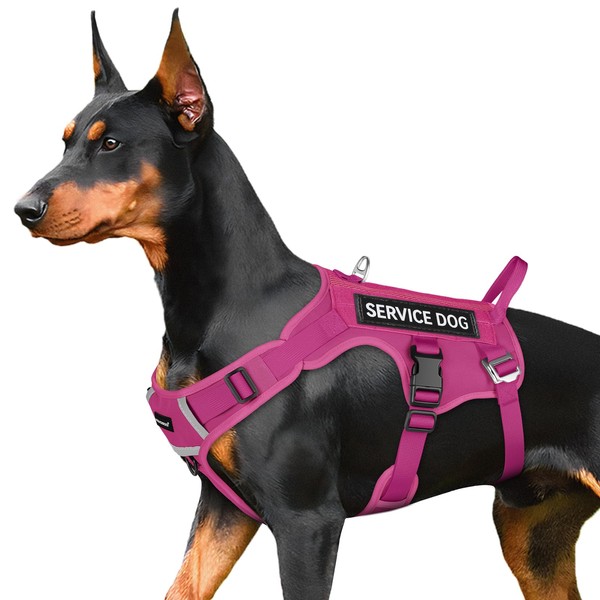 FAYOGOO Tactical Service Dog Harnesses for Large Dogs No Pull