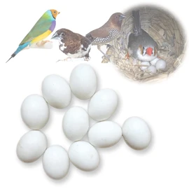 Solid Plastic Eggs - Parrot Bird Hatching Replacing Eggs for Guiding Birds to Stop Laying, 10 PCS (S)