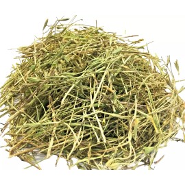 Nuestra Salud Anís Te Infusión de hierbas Anise Tea  (30 g) Té de apoyo digestivo Zip lock