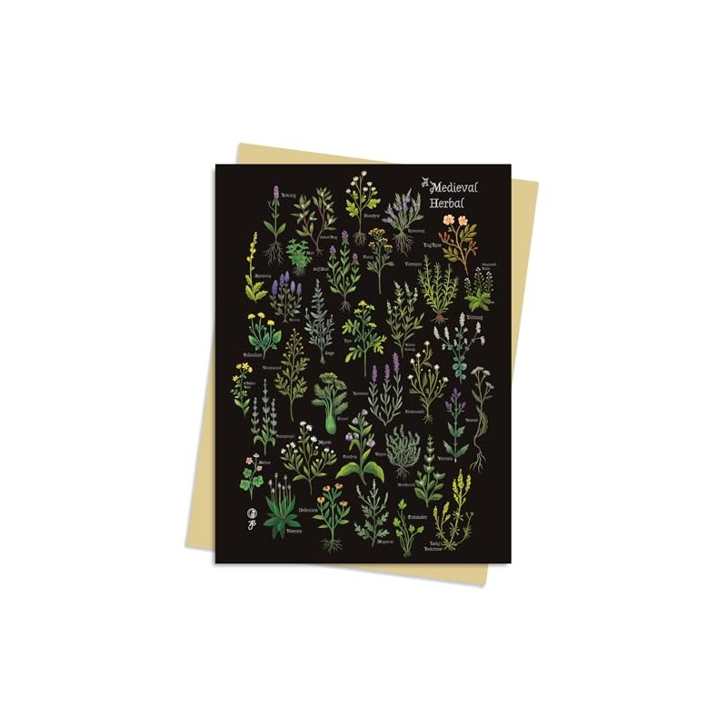 Anna Stead Medieval Herbal Greeting Card Pack: Pack of 6