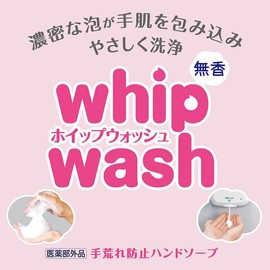 Saraya 41995 Hand Wash Unscented Whip Wash for Dispensers 20.2 fl oz (600 ml)