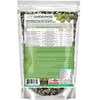 GARDENWISE Evergreen Fertilizer – All-Purpose Granular Plant Food for Outdoor