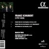Schubert: Trio Opus 100 / Sonatensatz / Notturno