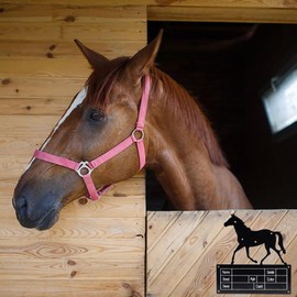 Horse Stall Sign|Stable Nameplate|Signage for Livestock Shelter