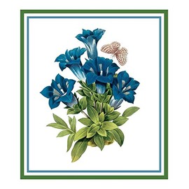 Orenco Originals Gentian Flower by Pierre-Joseph Redoute Counted Cross Stitch Pattern