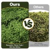 MAISONRINA 10.6OZ Fake Green Moss for Planters Outdoor Indoor Decorating