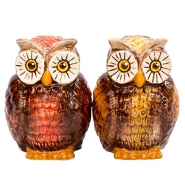 Attractive Salt and Pepper Shaker - OWLS by Pacific Trading