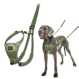 Halti Anti-Pull Dog Harness, Size L, Forest Green