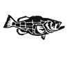 Express Yourself Products Goliath Grouper (Black - Facing as Shown