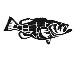 Express Yourself Products Goliath Grouper (Black - Facing as Shown - Medium) Decal Sticker - Saltwater Fish Collection