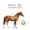 Manna Pro Simply Flax for Horses – Omega-3 Rich Flaxseed