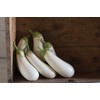 CEMEHA SEEDS - Seeds Eggplant White Thai Aubergine Non GMO
