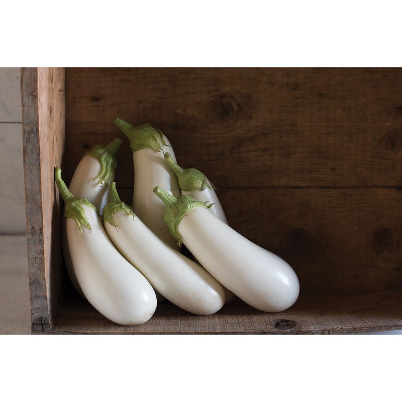 CEMEHA SEEDS - Seeds Eggplant White Thai Aubergine Non GMO