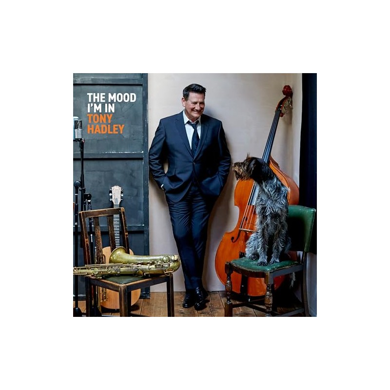 The Mood I'M In (Blue Vinyl) [Vinyl LP]