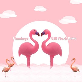 16GB USB Flash Drive Cute Flamingo Pattern with Lanyard, Pen Drive and Memory Stick for Family and Friends