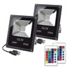 GLW 30W RGB LED Flood Light Remote Control Outdoor Landscape