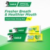 Darlie Ubat Gigi / Toothpaste Double Action Fresh + Clean