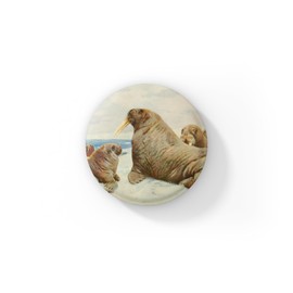 Walrus Pin Button, Animal Pin, Walrus Keychain, Vintage Walrus Keychain, Animal Magnet, Walrus Magnet, Natural History Pin (1 Magnet - 1.50in)