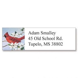 Cardinal Small Return Address Labels - Set of 240 2" x 5/8" Self-Adhesive, Flat-Sheet labels