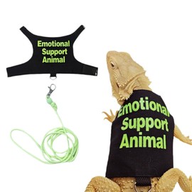 Bearded Dragon Clothes with Leash Set - Handmade Reptile Apparel for Small Pets, Guinea Pigs, and Lizards - Outdoor Walking Training Harness & Photo Prop Costume (Green)