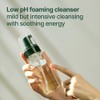 Pyunkang Yul [Pyunkang Yul]Calming Low pH Foaming Cleanser 150ml