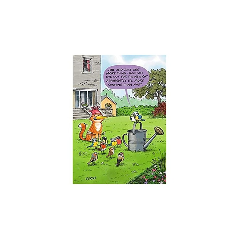 Humorous Greeting Card (PH6261) Birthday - New Cat - From