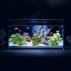 BEGONDIS 2Pcs Reptile Artificial Plants, Terrarium Plants Decorations Supplies, Aquarium
