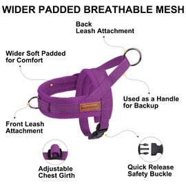 BEAUTYZOO Dog Harness for Small Dogs, No Pull Dog Harness and Leash Set, Soft Escape Proof Puppy Vest Harness with Handle, Reflective Lightweight Step in Harness for Girl Boy Dogs, Purple M