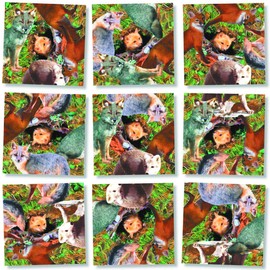 B. Dazzle - Foxes 9 Piece Scramble Square Puzzle - Challenging Brain Teaser for Children & Adults-Boosts Cognitive Function & Problem Solving