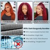 ALHER 4x4 HD Lace Closure Brazilian Human Hair 99j Dark