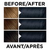 L'Oréal Paris Feria Multi-Faceted Shimmering Permanent Hair Color, 21 Bright Black Cooler, with Aromatic Shimmer Serum, Gentle, Deep Conditioning Hair Color for Women, 1 EA