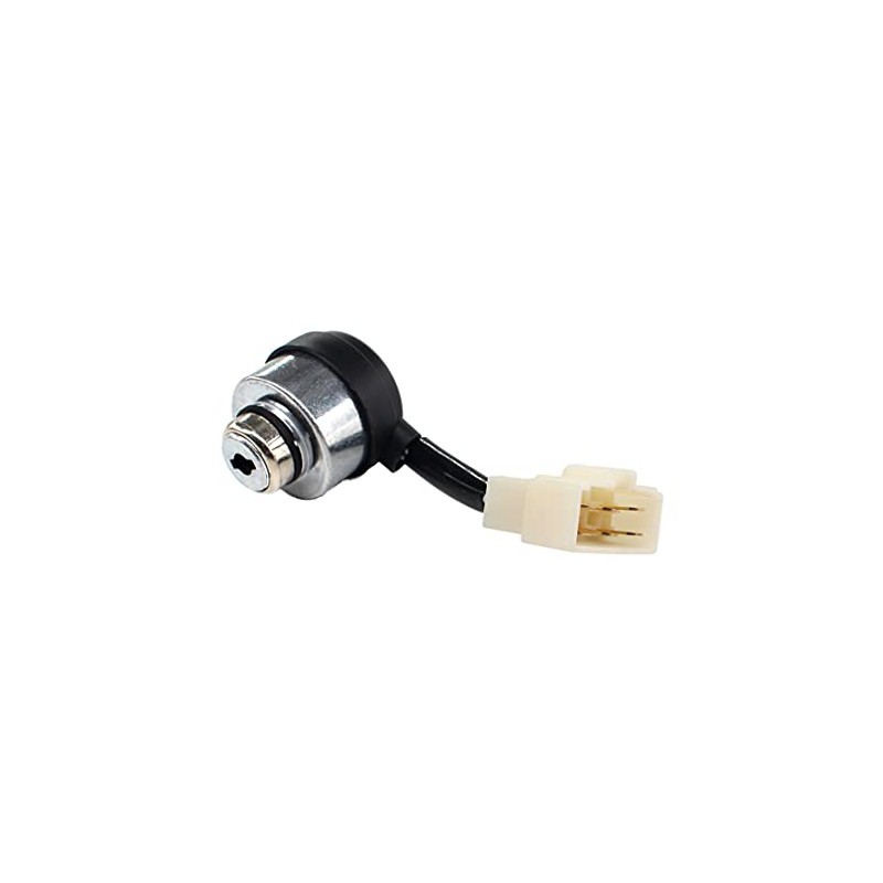 USPEEDA Ignition Key Switch for Steele SP-GG750E SP-GG900E SP-GG1000E Gas