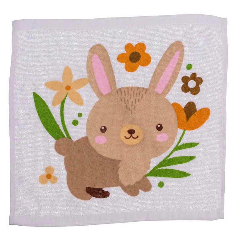 MIK funshopping Set of Magic Washcloths, Magic Cloth, Magic Towel,