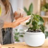LITUDISO African Violet Pots, 6 Inch Self Watering Pots for