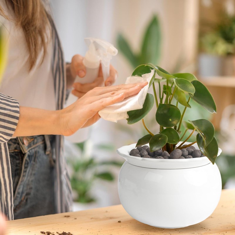 LITUDISO African Violet Pots, 6 Inch Self Watering Pots for
