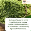mGanna 100% Natural Bhringraj Powder Pure Eclipta Alba For Hair