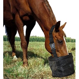 Feed Bag for Horses, Heavy Duty Durable Canvas Grain Feedbag, Small Medium or Large