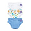 Bambino Mio, Reusable Potty Training Pants for Boys and Girls,