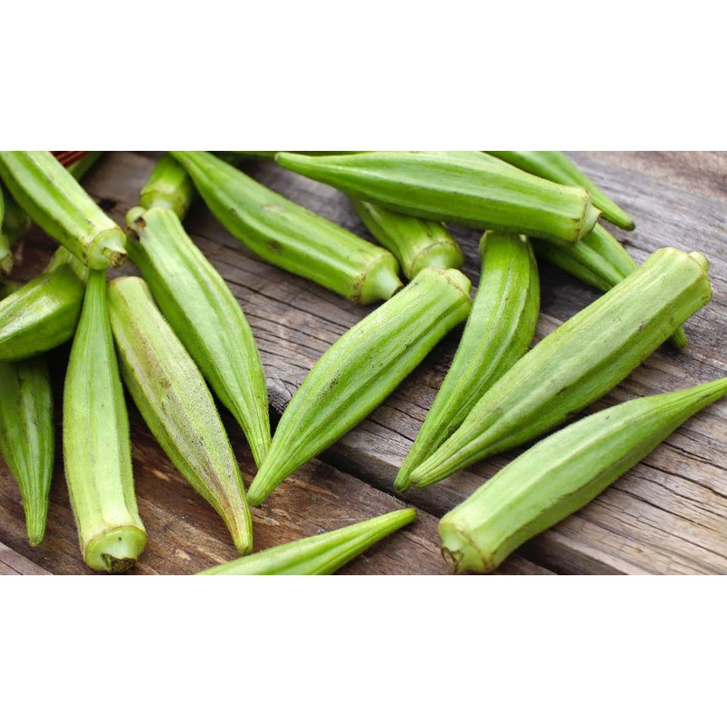 Okra Seeds for Coffee Lady's Finger Bamia Vegetable for Planting