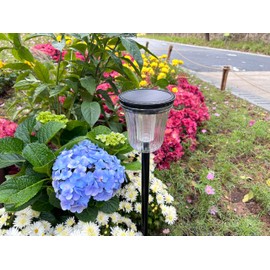 SAMTANGFAI Bright Solar Pathway Light 4 Pack,High Lumen 2-in-1 Cool and Warm,Solar Yard Lights Outdoor Waterproof IP65, Auto On/Off Solar Powered Outdoor Lights for Patio,Walkway