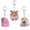 Nirxxiy 6 Pcs Cute Animal Keychain Set Cute Hamster Meme