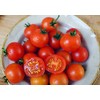 30 Dwarf Red Robin Tomato Seeds, Heirloom Non-GMO, Sweet, Low