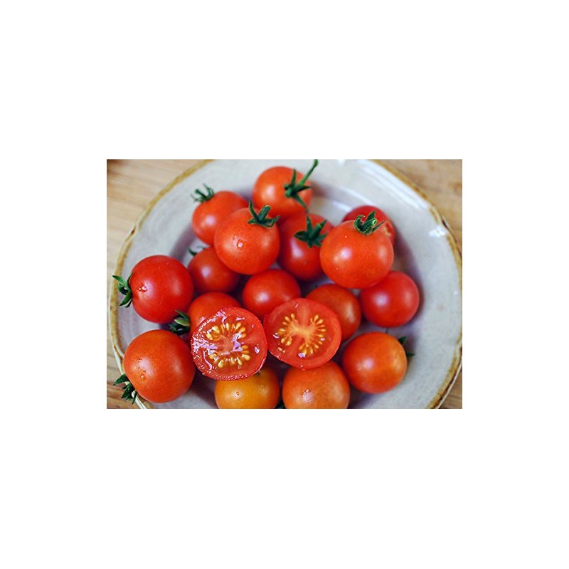 30 Dwarf Red Robin Tomato Seeds, Heirloom Non-GMO, Sweet, Low