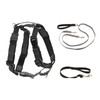 PetSafe 3 in 1 Harness with Two Point Control Leash
