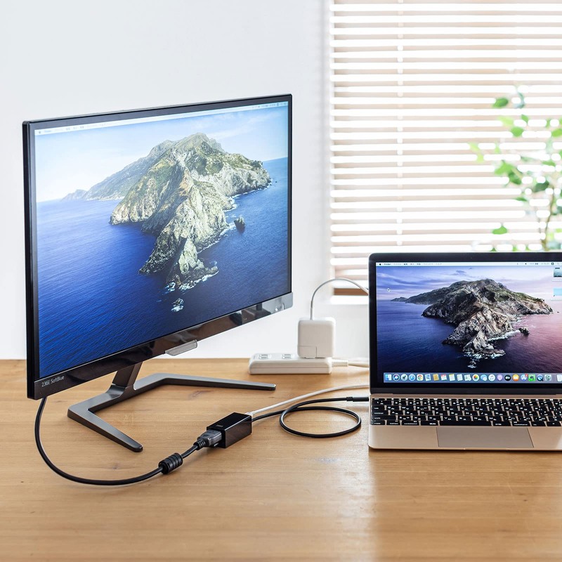 Sanwa Supply USB to 3TCH34BK HDMI Converter Adapter with USB