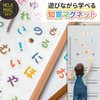 Hiragana Katakana Set, Let’s Make Words, Magnetic Card Set, Made