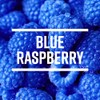 Tropical Sensations Blue Raspberry Granita Slushie Mix – 6 Bottles,