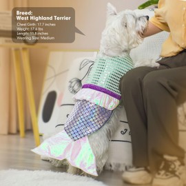 cyeollo Disfraz Grande De Sirena para Perro, Disfraces De Halloween, Traje De Vacaciones para Perros Grandes, Fiesta De Cumpleaños, Fiesta De Cumpleaños, Ropa Brillante, Talla XL