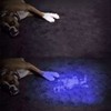 LIGHTFE Blacklight UV Flashlight 365nm UV301D for UV Glue Curing,